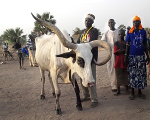 Dinka and Bari Conflict likely to degenerate to another Kokora War in Juba